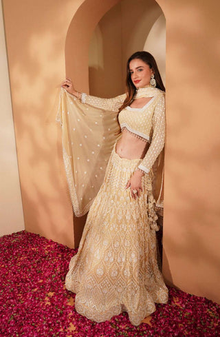 Elegant Beige Lehenga with Off-White Embroidery, Full Sleeve Blouse & Dupatta