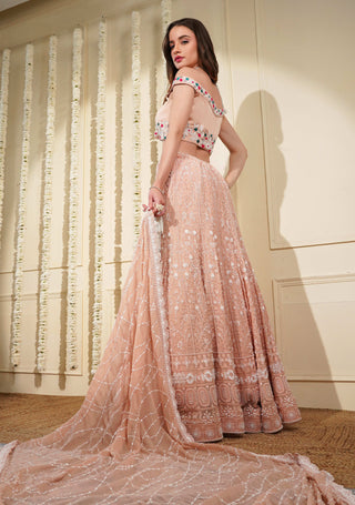 Full Embroidered Light Peach Lehenga with Silk Blouse & Dupatta