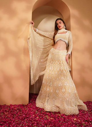 Light Beige Lehenga with Off-White Embroidery, Full Sleeve Blouse & Dupatta