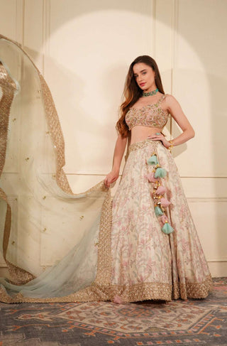 Light Fawn Lehenga with Pink Embroidered Blouse & Light Blue Organza Dupatta