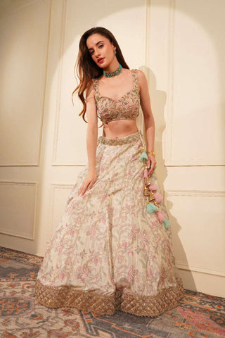 Light Fawn Printed Lehenga with Pink Embroidered Blouse & Blue Organza Dupatta