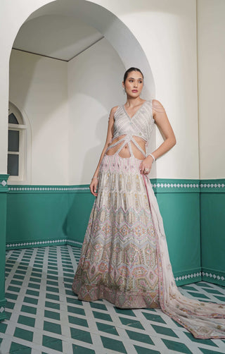 Light Pink Georgette Yoke Dress with Heavy Embroidery and Flair
