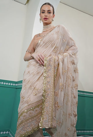 Light Fawn Saree and Underskirt with Peach Embroidered Blouse