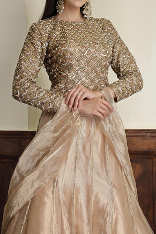 Embroidered Tissue Ready to Wear Lehenga & Blouse With Dupatta