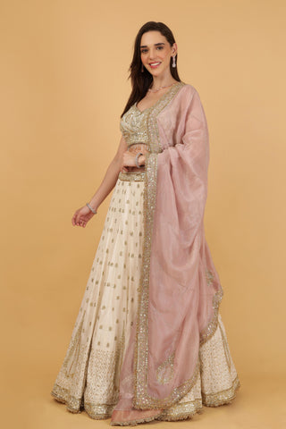 Women Off White Embroidered Georgette Lehenga