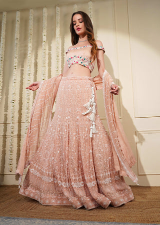 light Peach Embroidered Lehenga with Silk Blouse and Dupatta
