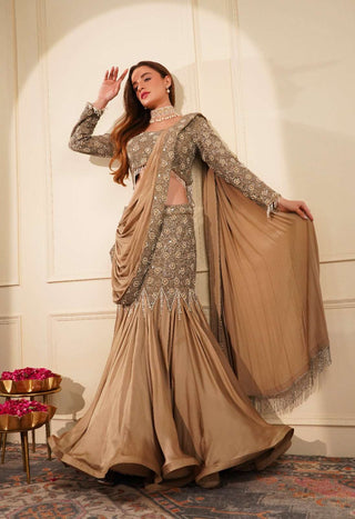 Beaded Mouse-Colored Blouse with Fish Cut Skirt and Embroidered Drape Pallu