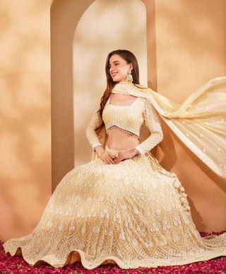 Beige Lehenga with Full Sleeve Blouse, Dupatta & Off-White Heavy Embroidery
