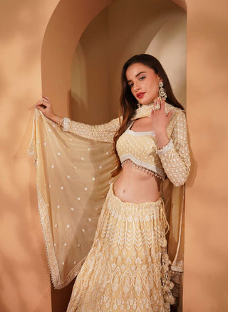 Beige Lehenga with Off-White Heavy Embroidery, Full Sleeve Blouse & Dupatta
