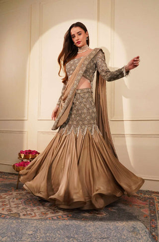 Elegant Mouse-Colored Blouse with Bead Work, Fish Cut Skirt & Embroidered Drape Pallu