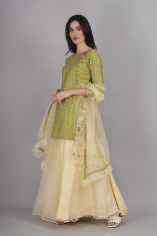 Elegant yellow-green zigzag print kurti with lemon organza sharara.