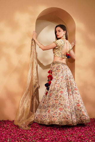 Luxury Lehenga Set with Heavy Embroidery & Silk Blouse
