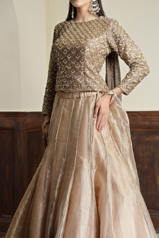 Embroidered Tissue Ready to Wear Lehenga & Blouse With Dupatta
