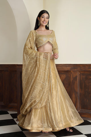 Embroidered Sequnnied Tissue Ready to Wear Lehenga & Blouse With Dupatta
