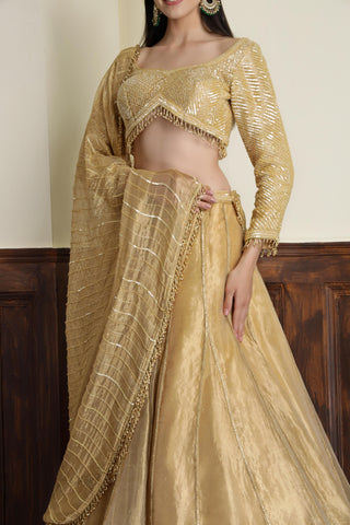 Embroidered Sequnnied Tissue Ready to Wear Lehenga & Blouse With Dupatta