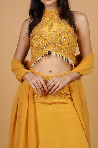 Women Embroidered Beads and Stones Lehenga Choli With Dupatta