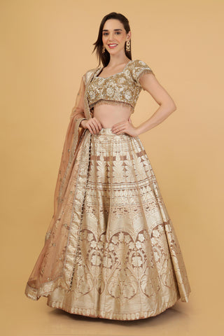 Women Embroidered Silk Lehenga
