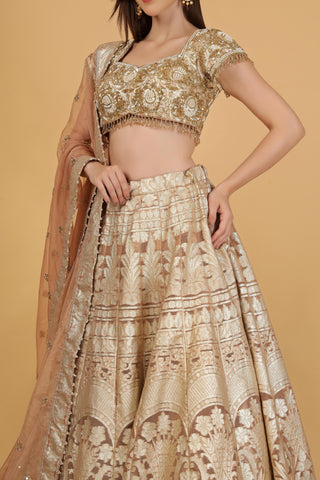 Women Embroidered Silk Lehenga