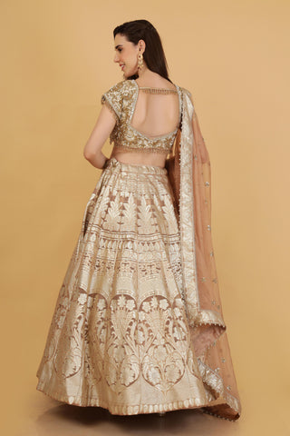 Women Embroidered Silk Lehenga