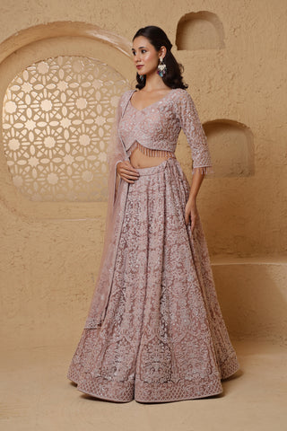 Roohani Rang Embroidered Lehenga Set - Dusty Pink