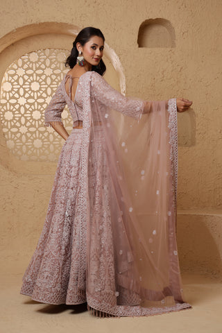 Roohani Rang Embroidered Lehenga Set - Dusty Pink