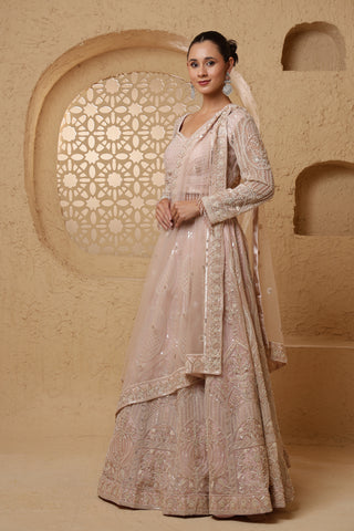 Roohani Rang Net Lehenga Set with Sequins & Beadwork - Baby Pink