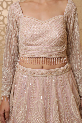Roohani Rang Net Lehenga Set with Sequins & Beadwork - Baby Pink