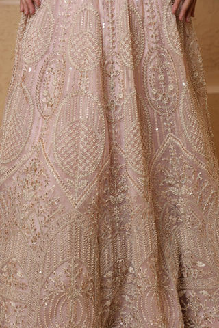 Roohani Rang Net Lehenga Set with Sequins & Beadwork - Baby Pink