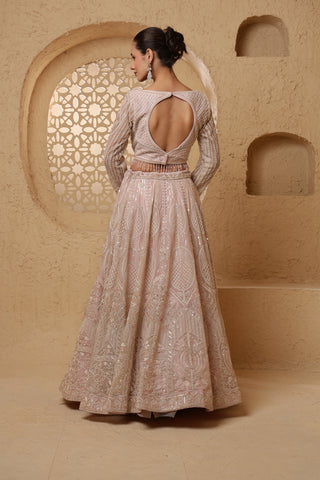 Roohani Rang Net Lehenga Set with Sequins & Beadwork - Baby Pink