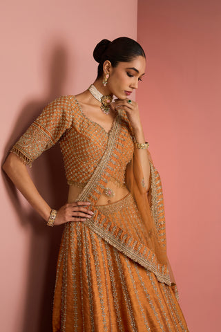 Kesar Noor Bridal Lehenga