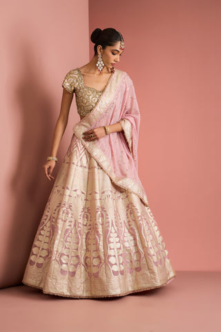 Meher Pink Heritage Lehenga