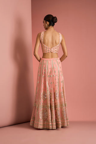 Gulnaar Peach Mirrorwork Lehenga