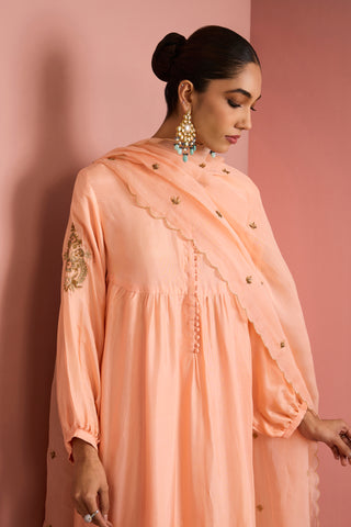 Peach Aarohi Embroidered Anarkali Set