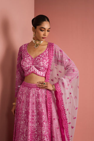 Gulabi Zehra Embroidered Lehenga Set