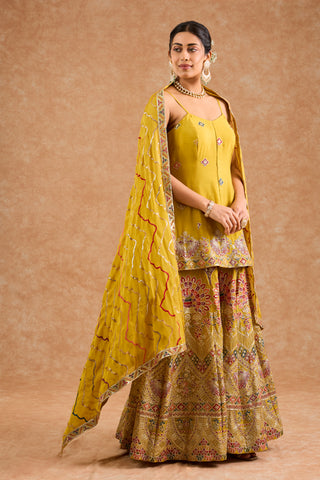 Mustard Chinon Multocolored Thread Work Peplum Sharara Set