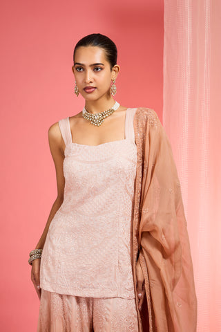BROWN OMBRE RESHAM WORK ORGANZA SHARARA SET
