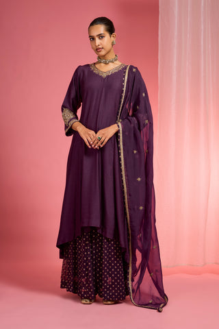DARK WINE  VISCOSE DUPION SILK HAND EMBROIDERED SHARARA SET
