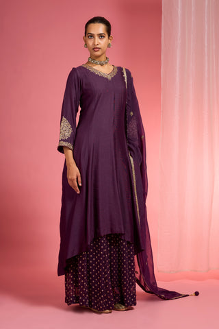 DARK WINE  VISCOSE DUPION SILK HAND EMBROIDERED SHARARA SET