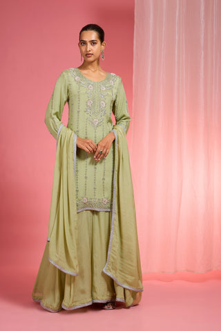 LIGHT GREEN VISCOSE CHINON CHIFFON SILVER HAND EMBROIDERED SHARARA SET