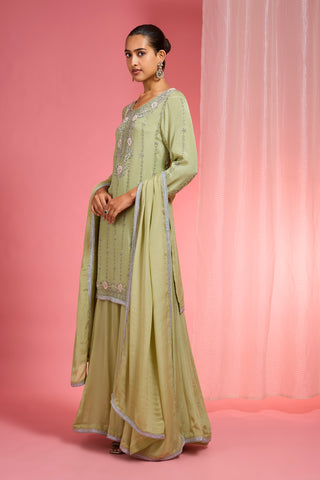 LIGHT GREEN VISCOSE CHINON CHIFFON SILVER HAND EMBROIDERED SHARARA SET