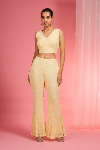 LEMON YELLOW  RESHAM EMBROIDERED NET  CAPE PLAZZO SET