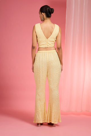 LEMON YELLOW  RESHAM EMBROIDERED NET  CAPE PLAZZO SET