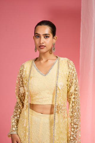 LEMON YELLOW  RESHAM EMBROIDERED NET  CAPE PLAZZO SET