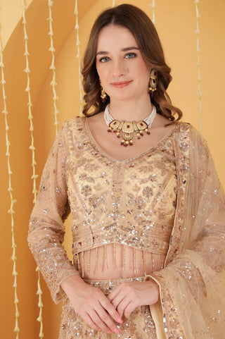 LIGHT BEIGE DOUBLE NET HAND EMBROIDERED LEHENGA SET