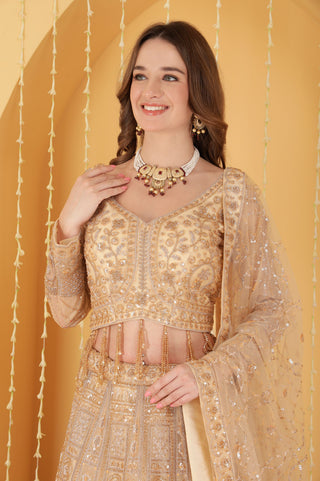 BEIGE DOUBLE NET HAND EMBROIDERED LEHENGA SET