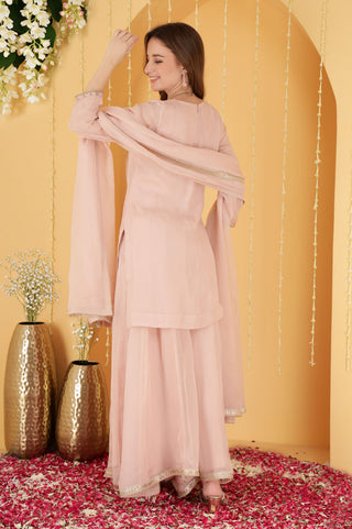 POWDER PINK ORGANZA GOTA PATTI WORK SHARARA SET