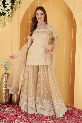 LIGHT FAWN CUTDANA , SEQUINS , BEADWORK DOUBLE NET SHARARA SET