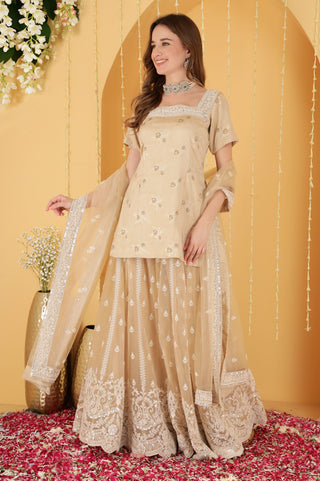 LIGHT FAWN CUTDANA , SEQUINS , BEADWORK DOUBLE NET SHARARA SET