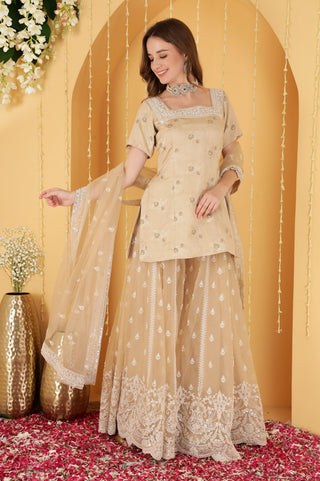 LIGHT FAWN CUTDANA , SEQUINS , BEADWORK DOUBLE NET SHARARA SET