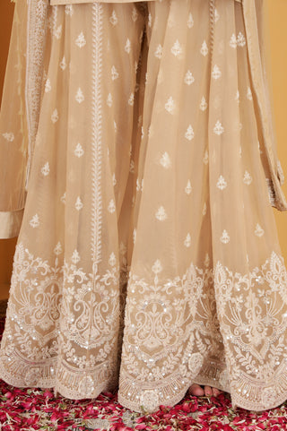 LIGHT FAWN CUTDANA , SEQUINS , BEADWORK DOUBLE NET SHARARA SET